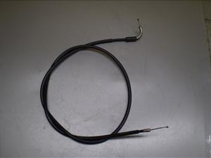 `Cm/ choinori  `[NC[ CZ41A-1497