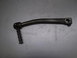 `Cm/ choinori  LbNy_ CZ41A-1763
