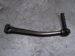 `Cm/ choinori  LbNy_ CZ41A-1107