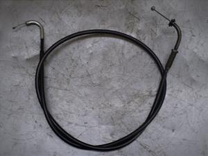 `Cm/ choinori  ANZC[ CZ41A-1107