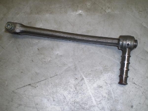 `Cm/ choinori  LbNy_ CZ41A-1017
