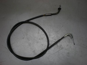 `Cm/ choinori   ANZC[  CZ41A-1635