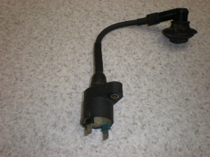 DioZX-2/ fBI/ CufBIZX/ LIVE DIO ZX (12V) COjbVvOR[h AF35-1435
