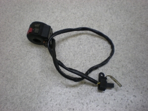 EH^[Et250/ WOLF250  / Walter Wolf   nhXCb`E GJ21B-1090