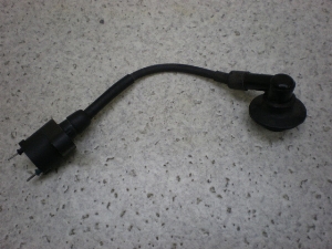 DioZX50/ fBI/ CufBIZX/ LIVE DIO ZX (12V) COjbVvOR[h AF35