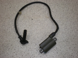 DioZ4/ fBI/ fBIZ4/ DIO Z4 (12V) COjbVvOR[h AF63-1101