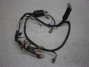 tbV50(6V)/ FLUSH Cn[lX AB19-2019