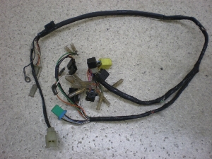 `Cm/ choinori  Cn[lX CZ41A-1157