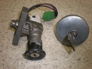 `Cm/ choinori  L[Zbg2 CZ41A-1157