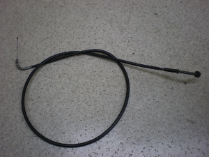 `Cm/ choinori  ANZC[ CZ41A-1157
