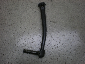 `Cm/ choinori  LbNy_ CZ41A-1389