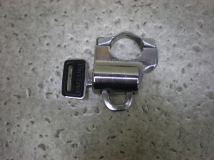 `Cm/ choinori  bgz_[ CZ41A-1389