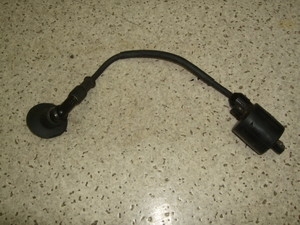XJbV50(12V)/ SQUASH COjbVvOR[h AB11-1069