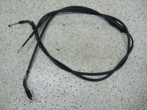 fBI50/ Dio  ANZC[ AF27-1603