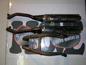 ZZR250/ ZZ-R250  }t[ EX250H-0361