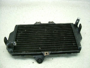 FZR250R WG^[ 3LN-2186