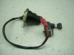 r[S250/ XV250 Virago L[Zbg 3DM-0689
