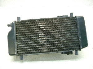G~l[^[250LX/ ELIMINATOR  WG^[ EL250A-0476