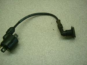 XJbV50/ SQUASH  COjbVvOR[h AB11-1002