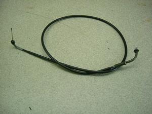 `Cm/ choinori  ANZC[ CZ41A-1052