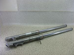 Z[225/ SEROW225 tgtH[NE 1KH-0302