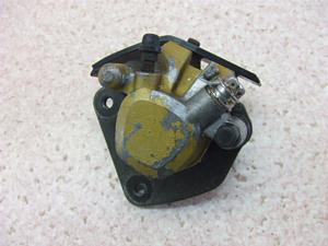 Et50/ WOLF50 tgLp[ NA11A-1840