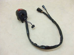 Cg[_[250/ Intruder250   nhXCb`E VJ51A-1010
