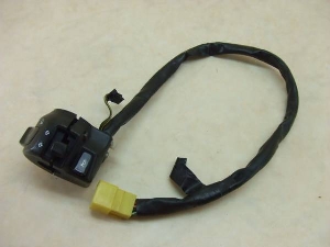 Cg[_[250/ Intruder250   nhXCb` VJ51A-1010