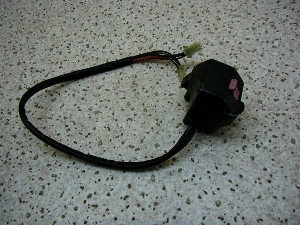 }WFXeB250/ MAJESTY nhXCb`E 4HC-0506