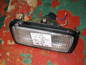 ROAD FOX/ [htHbNX   wbhCg  (TB10-100)