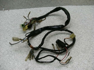 nX[50(6V)/ HUSTLER/ TS50  Cn[lX TS503-1173