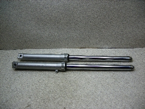 GCv50/ APE50/ Ape50    tgtH[NE AC16-