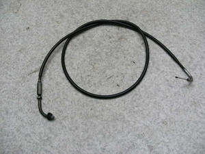 `Cm/ choinori  ANZC[ CZ41A-1482