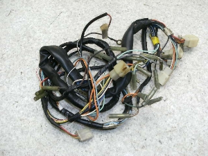 o[fB[50(6V)/ Birdie  Cn[lX FR50-8629