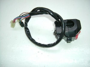 }WFXeB250/ MAJESTY nhXCb`E 4HC-0299