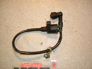 WJu/ giorcub  COjbVvOR[h AF53-1004