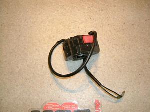 Z[225/ SEROW225 nhXCb`E 1KH-0239