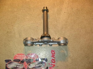 Z[225/ SEROW225 Xe  1KH-0855