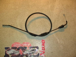Z[225/ SEROW225 ANZC[ 1KH-0855