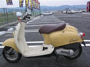 BY7267 ジョルノクレア AF54-1005