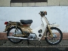 HONDA/z_ X[p[Ju50/CUB@C50-9264