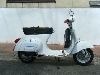 PIAGGI/sAWI@xXp50S/VESPA@V5SA1T-156514