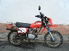 HONDA/z_ XL50S(6V)@AD03-1003