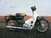 HONDA/z_ X[p[Ju50/CUB@C50-8967