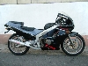 HONDA/z_ CBR250@MC19-1007