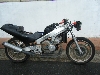 HONDA/z_ CBR250 MC19-1053