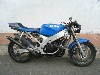 SUZUKI/XYL@RGVEt250  VJ21A-1151