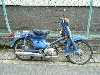 HONDA/z_ X[p[Ju50(6V)  C50-3133