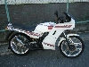 HONDA/z_  MBX80(82') HC04-1000