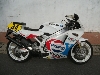 SUZUKI/XYL  RGVK}250 VJ21A-1252